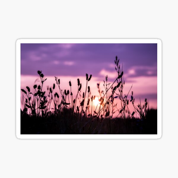 Sunset and silhouettes Sticker