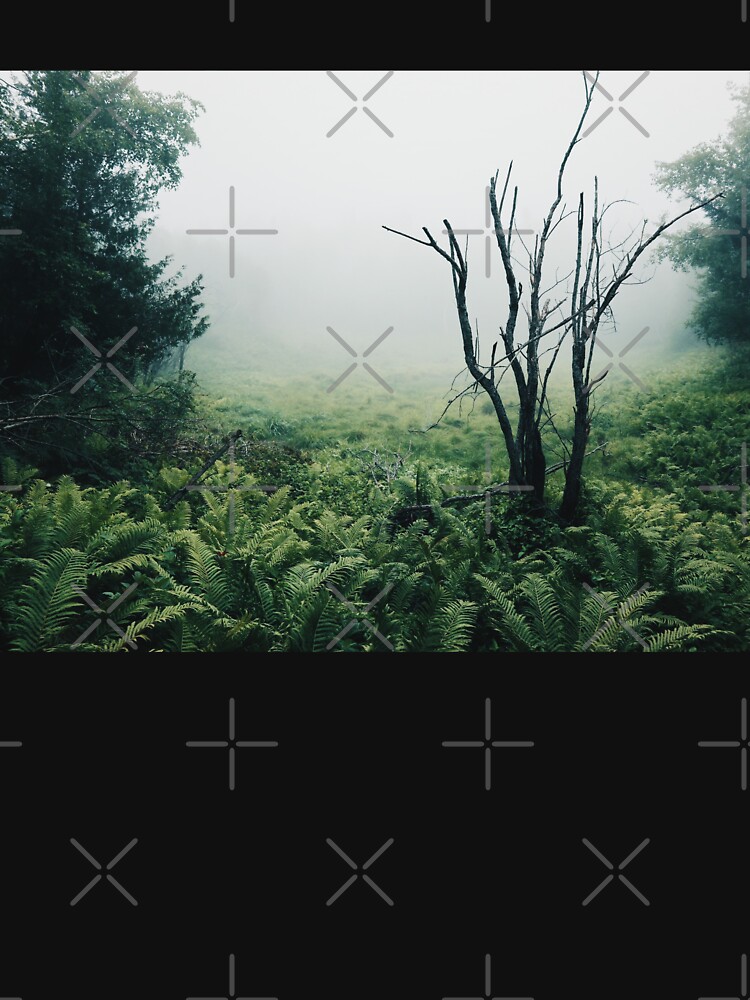 Foggy Forest of Ferns by StellarTatter