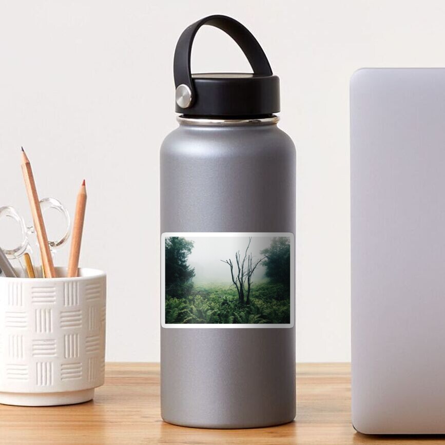 Foggy Forest of Ferns Sticker