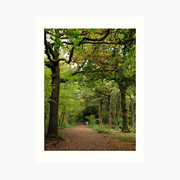 Young couple walk in the woods Art Print