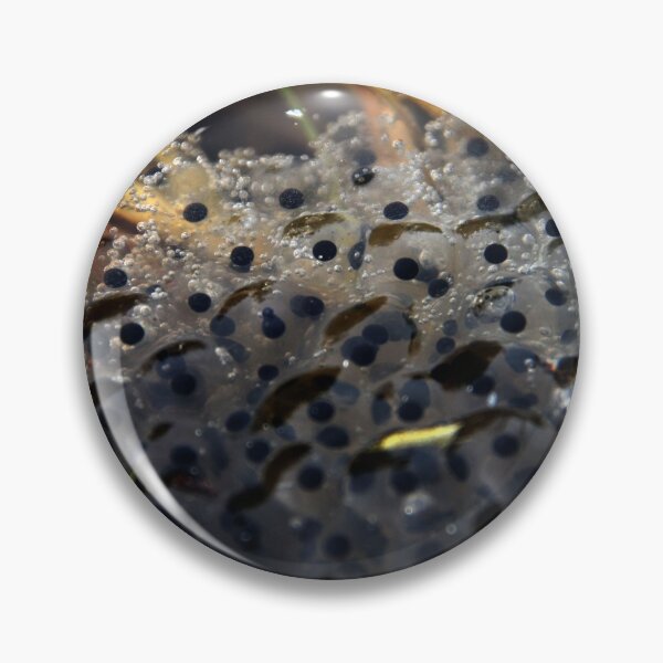 Item preview, Frog eggs, wildlife photo (tadpole) designed and sold by Stéphane  Thirion.