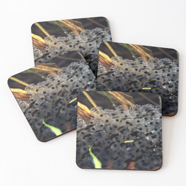 Item preview, Frog eggs, wildlife photo (tadpole) designed and sold by Stéphane  Thirion.