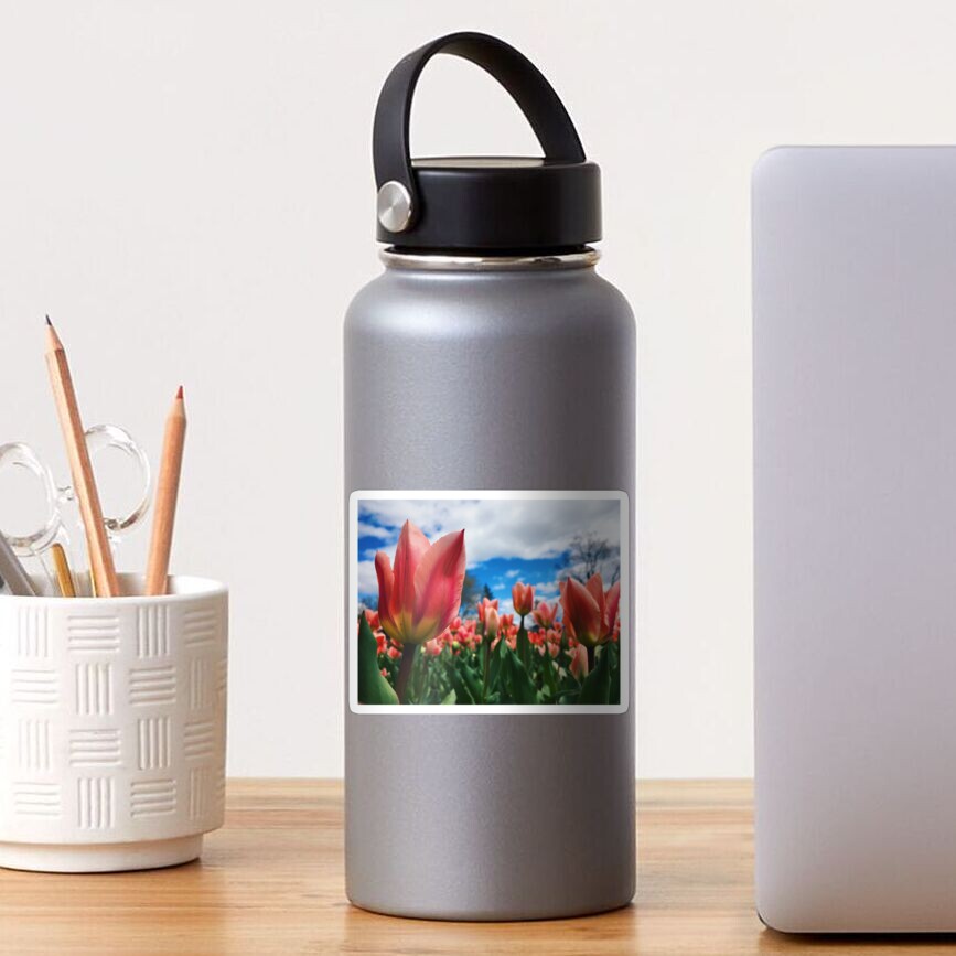 Field of Tulips Sticker