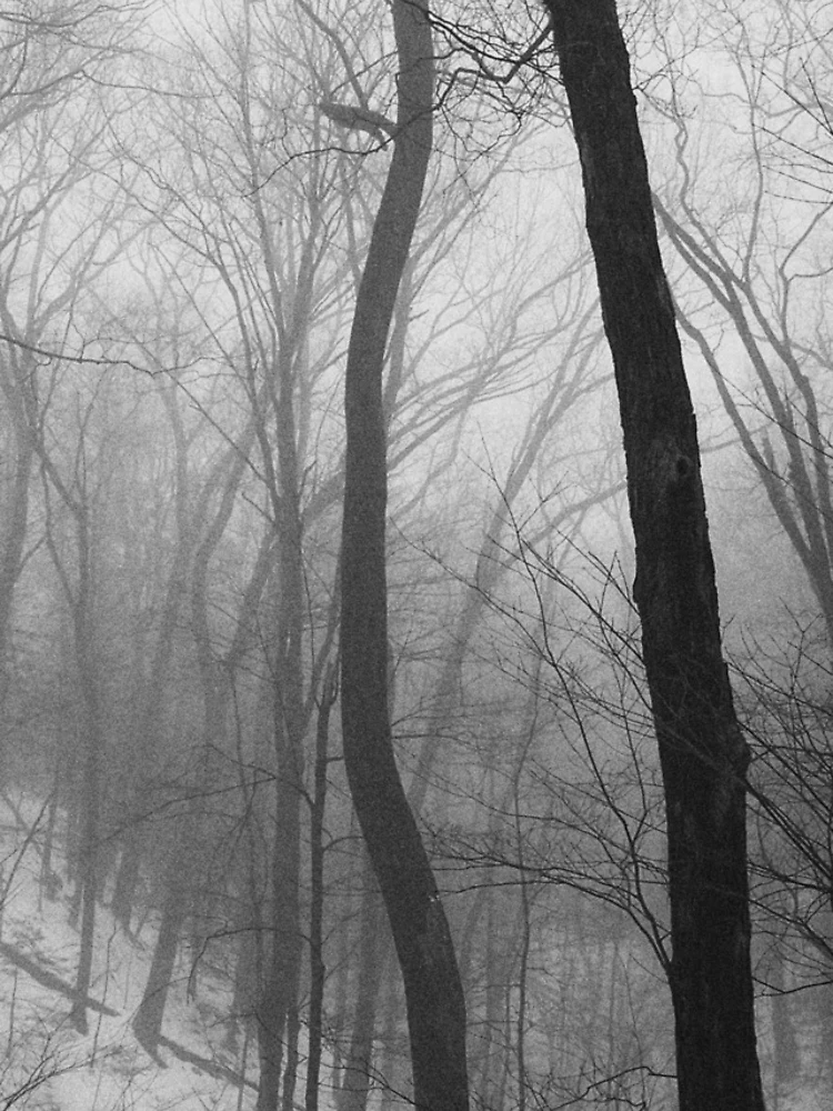 Thumbnail 4 of 4, iPhone Case, Cold Spring designed and sold by CreativeGiant.