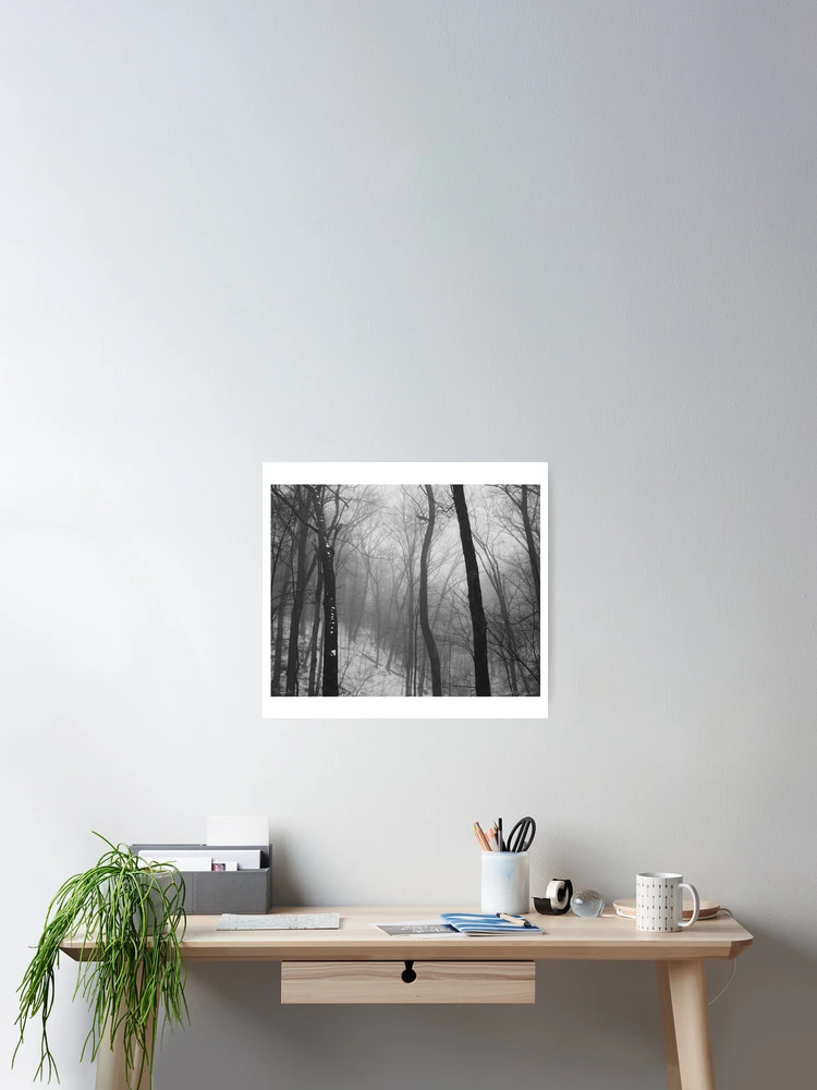 Thumbnail 2 of 3, Poster, Cold Spring designed and sold by CreativeGiant.