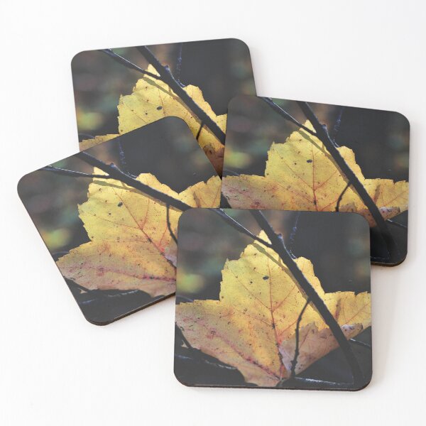 Item preview, All Caught Up designed and sold by Kathleen Daley.