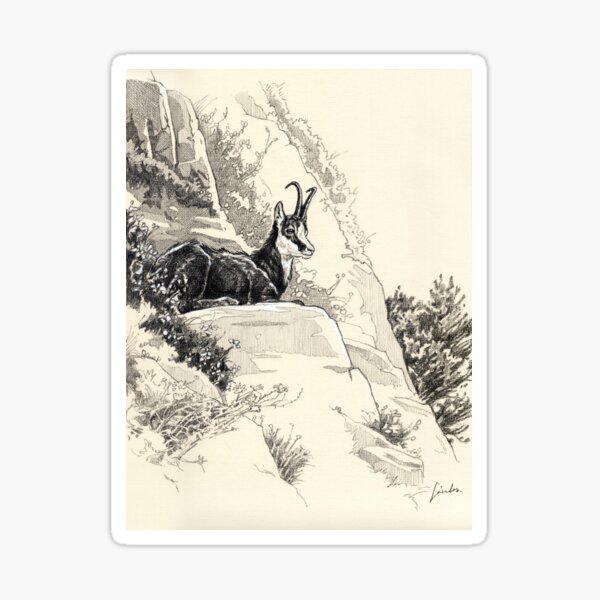 "Chamois with flowers" Sticker by SakalDesign Redbubble