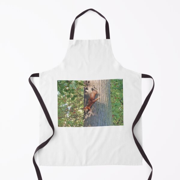 Item preview, Red Squirrel designed and sold by Malcolm Snook.