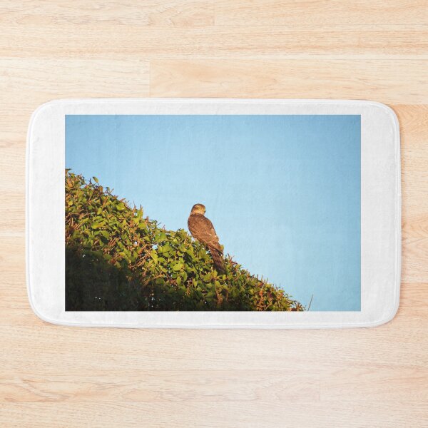 Item preview, British Sparrowhawk designed and sold by Malcolm Snook.