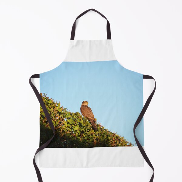 Item preview, British Sparrowhawk designed and sold by Malcolm Snook.