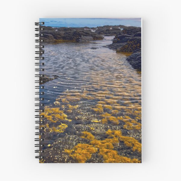 Artikelvorschau, Rock Pool Flinders Blowhole, Flinders, Mornington Peninsula, Australien entworfen und verkauft von SamCapture.