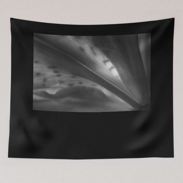 Item preview, SSK 6978 Cape Lily.  B/W designed and sold by Sunil Kapadia.