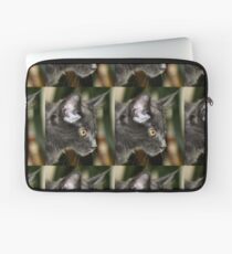 Concentration Laptop Sleeve