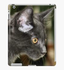 Concentration iPad Case/Skin
