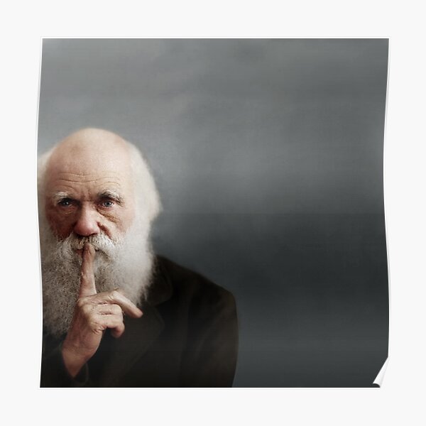 "Charles Darwin" Poster by Zuzahin | Redbubble