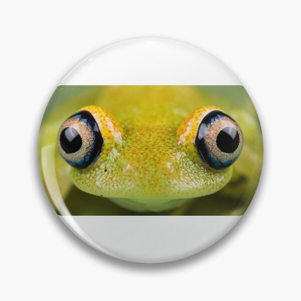 Artikelvorschau, Boophis viridis Frosch entworfen und verkauft von Emanuele Biggi.