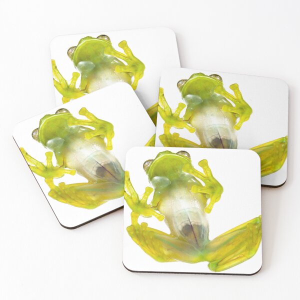 Item preview, Rulyrana spiculata designed and sold by Emanuele Biggi.