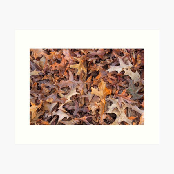 Item preview, Fall leaves designed and sold by AntWest.