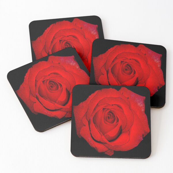 Item preview, Red rose designed and sold by MG-Photo.