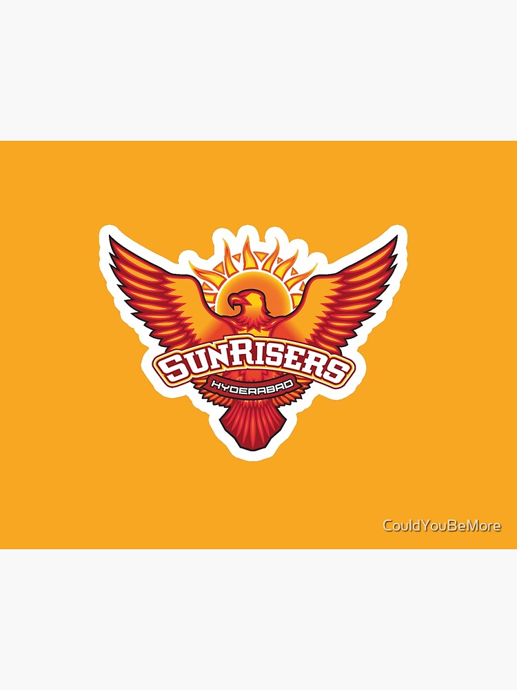 Discover more than 222 sunrisers logo