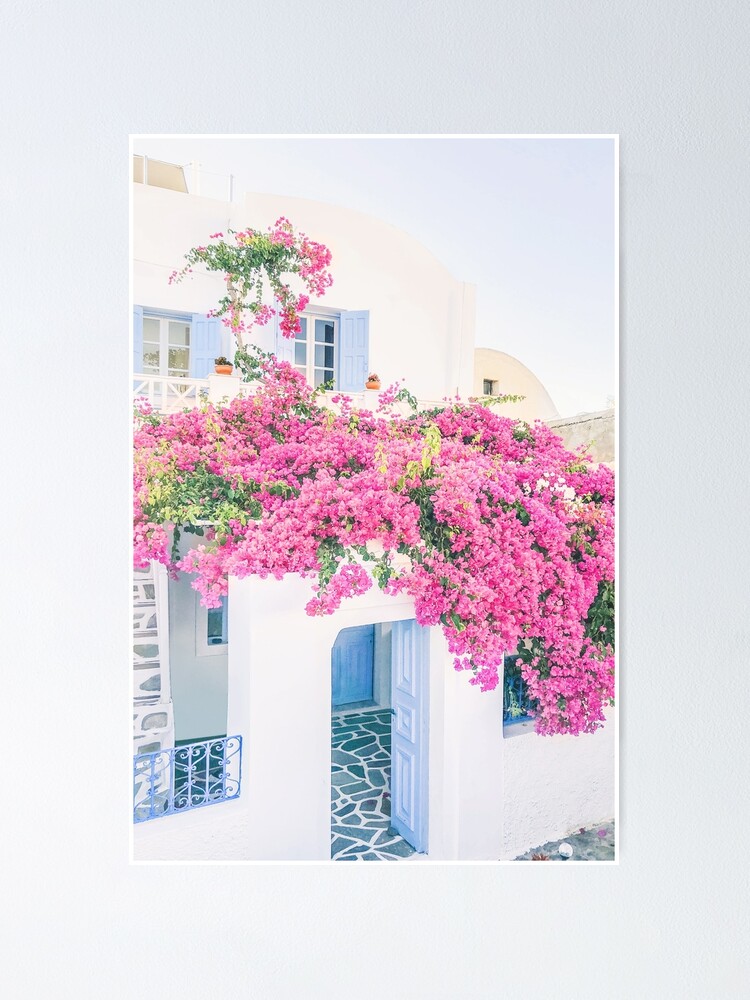Porte Fleurs Roses Poster - Affiches de Santorin
