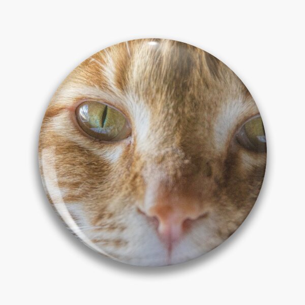 Item preview, Ginger Tabby Cat Portrait designed and sold by AntWest.