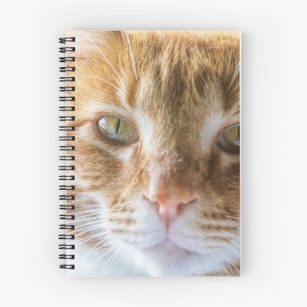 Item preview, Ginger Tabby Cat Portrait designed and sold by AntWest.