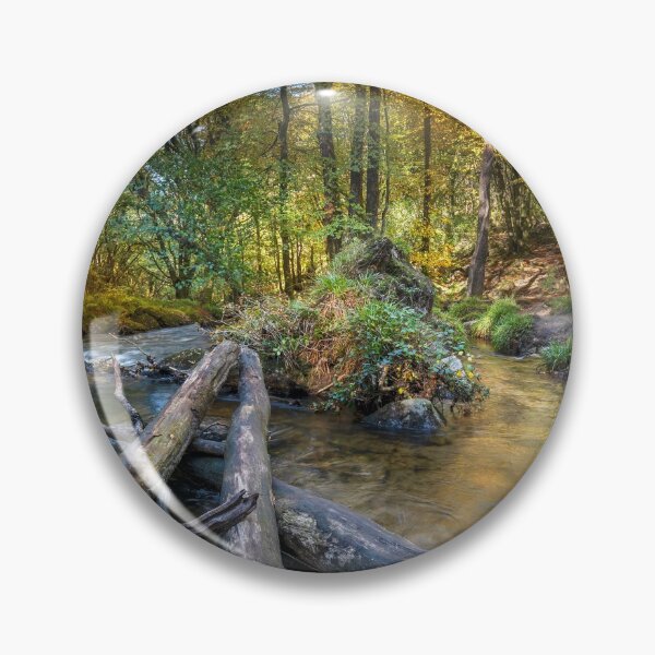 Item preview, Draynes wood golitha falls cornwall   designed and sold by eddiej.