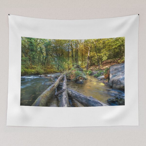 Item preview, Draynes wood golitha falls cornwall   designed and sold by eddiej.