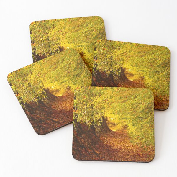 Item preview, A Walk in The Woods designed and sold by NKW1709.