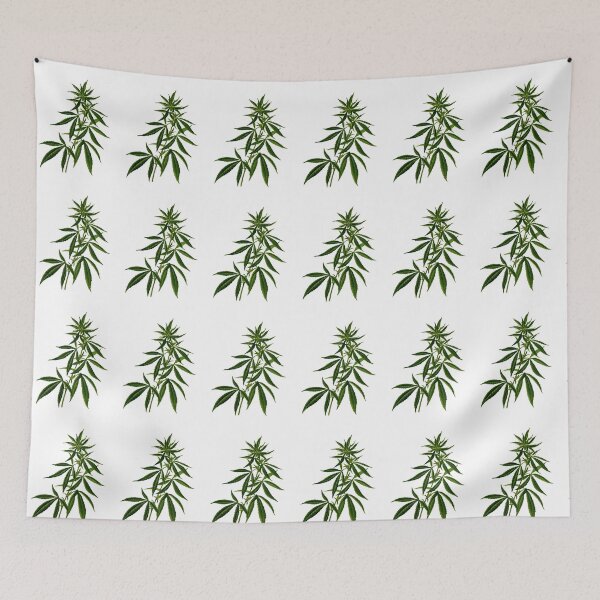 Item preview, Canna designed and sold by SiddharthaMoon.
