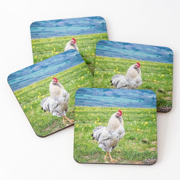 Item preview, Close-up of one white rooster animal in french flowered meadow in summer designed and sold by Grégory DUBUS.