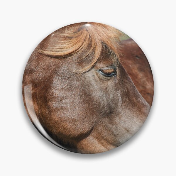 Item preview, Assateague Beauty designed and sold by Andreas Mueller.