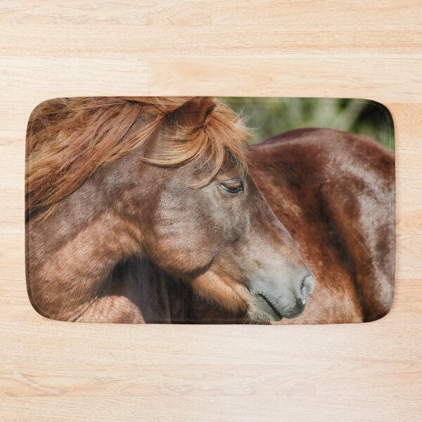 Item preview, Assateague Beauty designed and sold by Andreas Mueller.