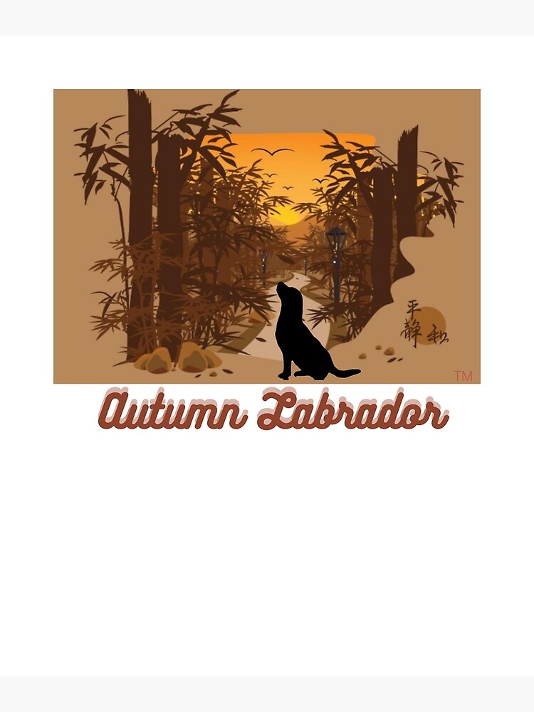 Autumn Labrador Series 5 Poster For Sale By Labradorstore Redbubble