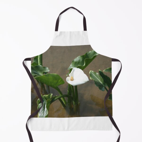 Item preview, Lily growing at Calla Lily Plantation, Taiwan designed and sold by photoslot.