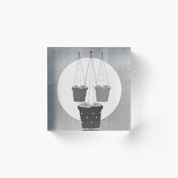 Hanging Plants Over Wood Design Acrylic Block