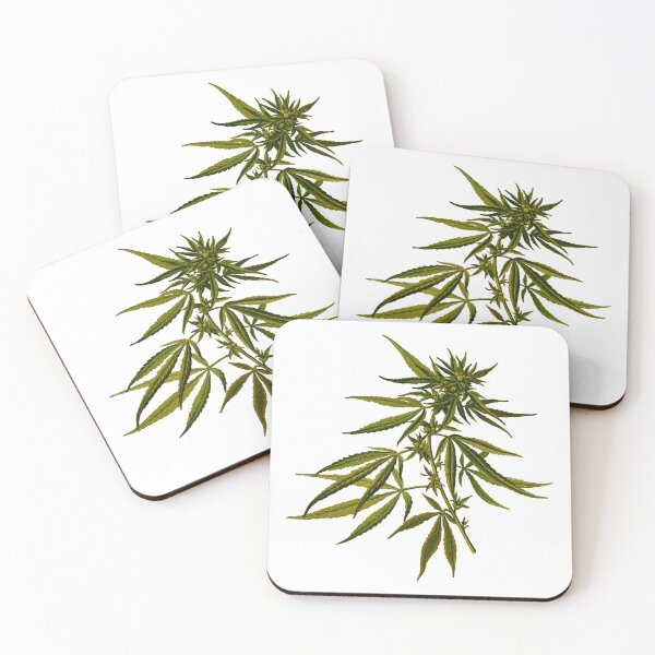 Item preview, Cannabis designed and sold by SiddharthaMoon.