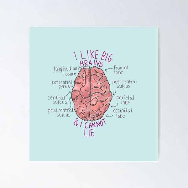 Big Brains Poster