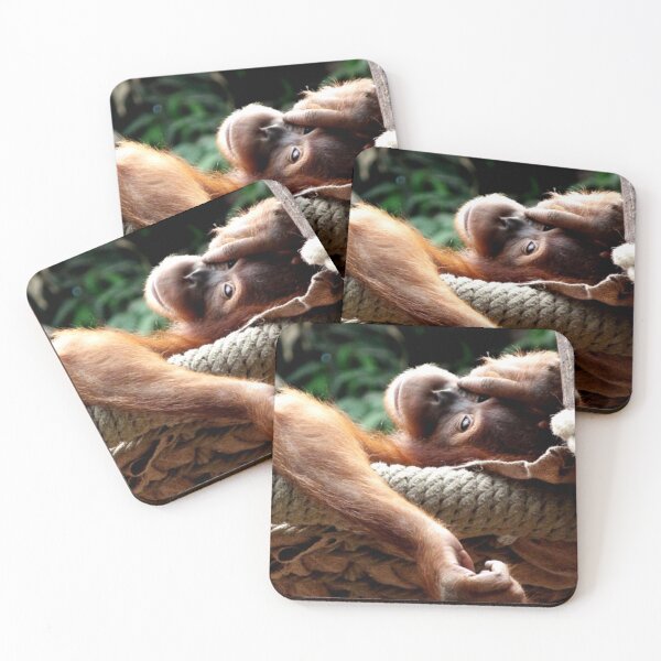 Item preview, Monkey photography designed and sold by Brushstroke23.