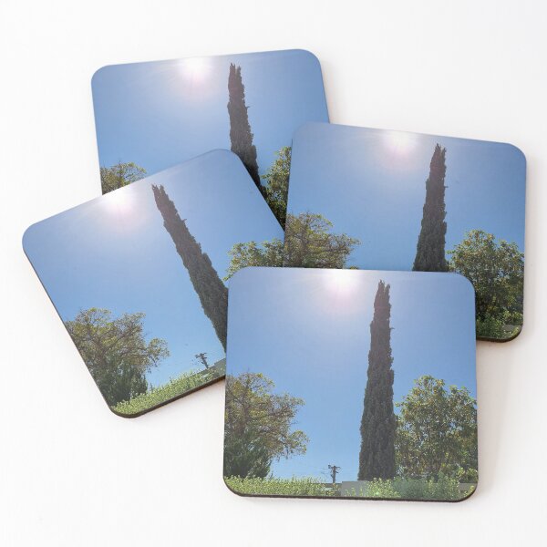 Item preview, Cypress on springtime designed and sold by malouabrio.