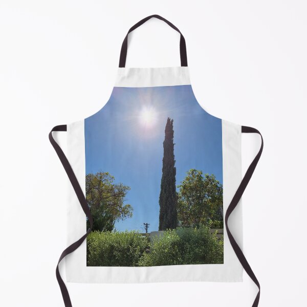 Item preview, Cypress on springtime designed and sold by malouabrio.
