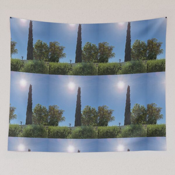 Item preview, Cypress on springtime designed and sold by malouabrio.