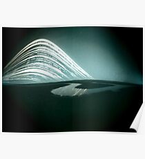 6 month exposure at The river Cuckmere Poster