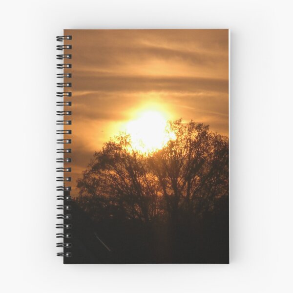 Artikelvorschau, Sonnig durch den Abend entworfen und verkauft von Brushstroke23.