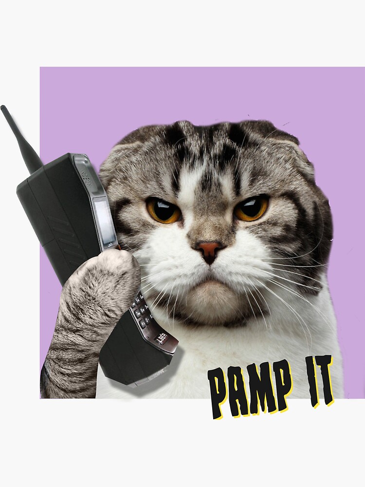 pamp it meaning crypto