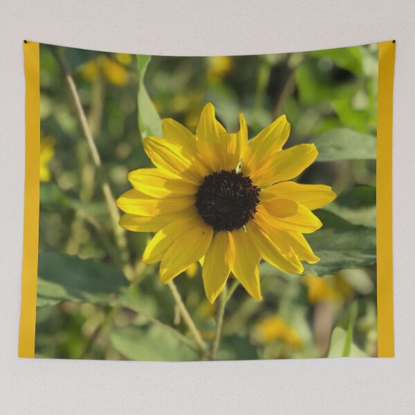 Artikelvorschau, Sonnenblume I. entworfen und verkauft von Nockaburn.