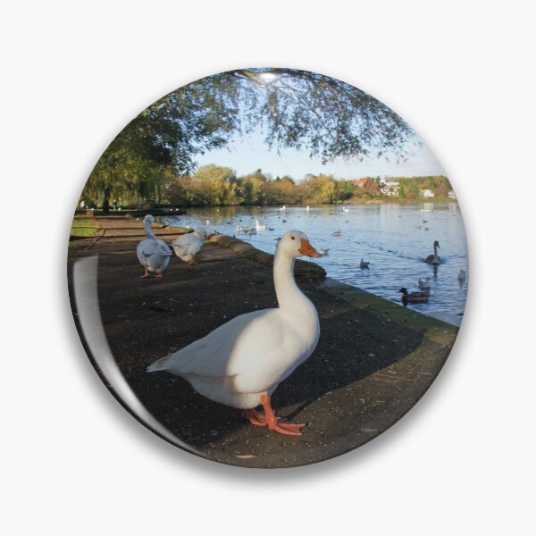 Item preview, Geese at Linlithgow Loch designed and sold by tomg.