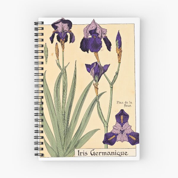 Item preview, Maurice Verneuil - Iris germanique - botanical poster designed and sold by DejaVuStudio.