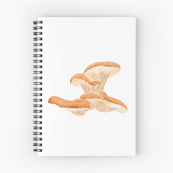 Item preview, Illustration of Pleurotus ostreatus designed and sold by iswenyi.